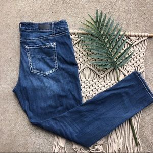 Daytrip Plus Size Skinny Jeans Size 38